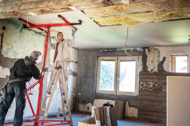 Best Insulation Maintenance and Repair in Skidmore, TX