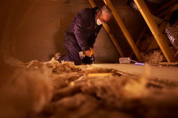 Best Types of Insulation in Skidmore, TX