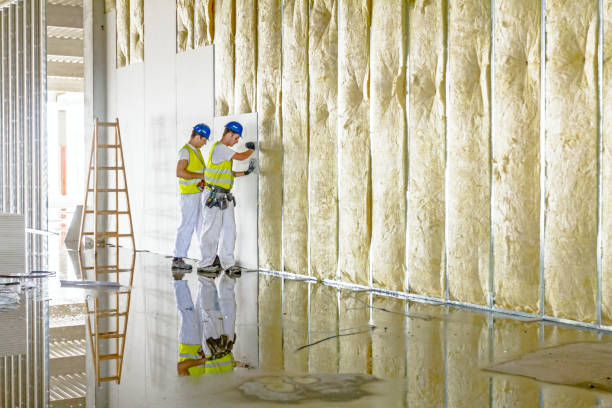 Best Residential Insulation in Skidmore, TX